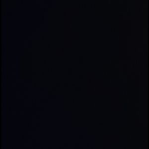 Meet your Posher, Tess